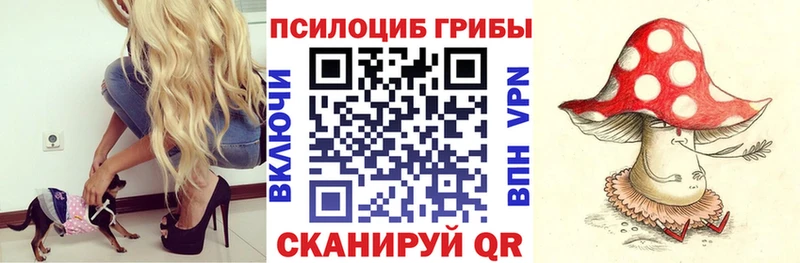 Псилоцибиновые грибы прущие грибы  Купить  Дыгулыбгей 