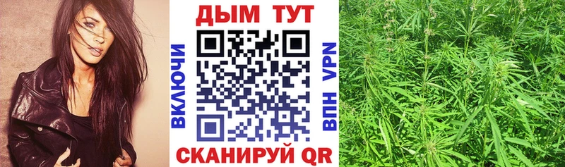 Канабис Amnesia  Купить закладки  Дыгулыбгей 